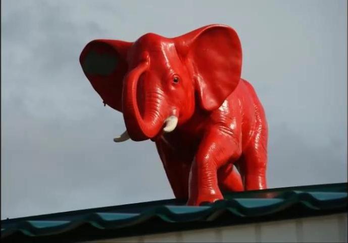 Красный слоник. Красный слон деревня. Красные слоны. Новая Заря красный Слоник.